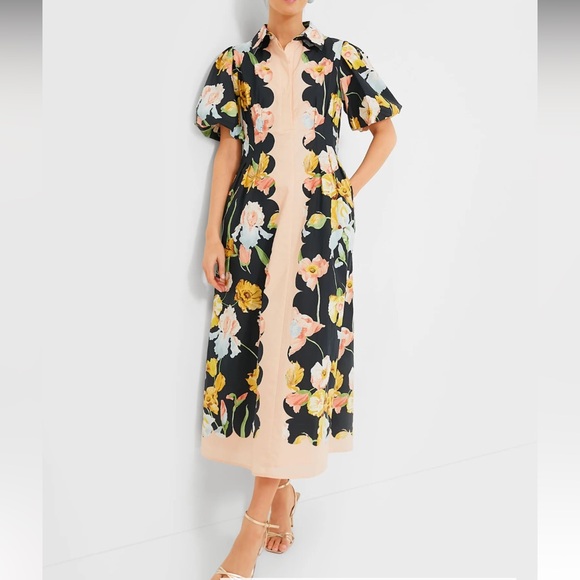 Tuckernuck Dresses & Skirts - Moonlit Iris Delaney Dress